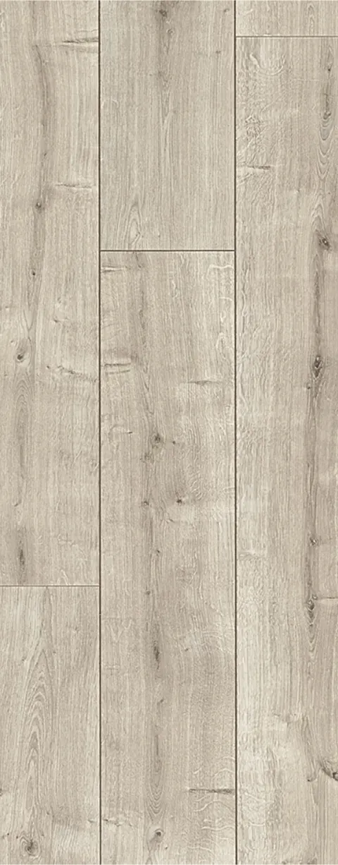 Rose 60017