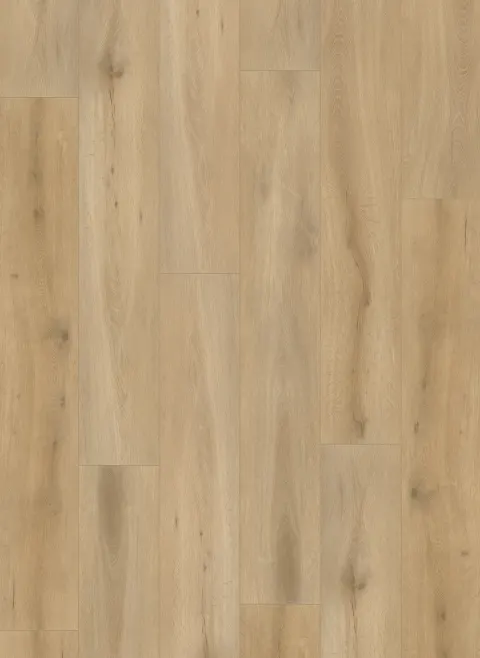 Callisto 5101 (rigid click)
