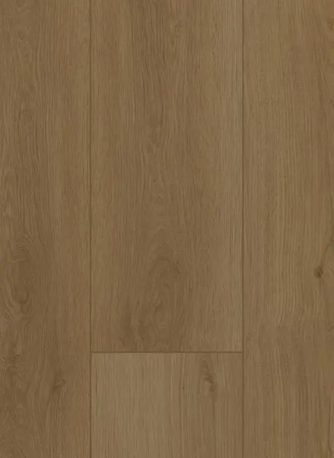 Firmfit 6703 (dryback)