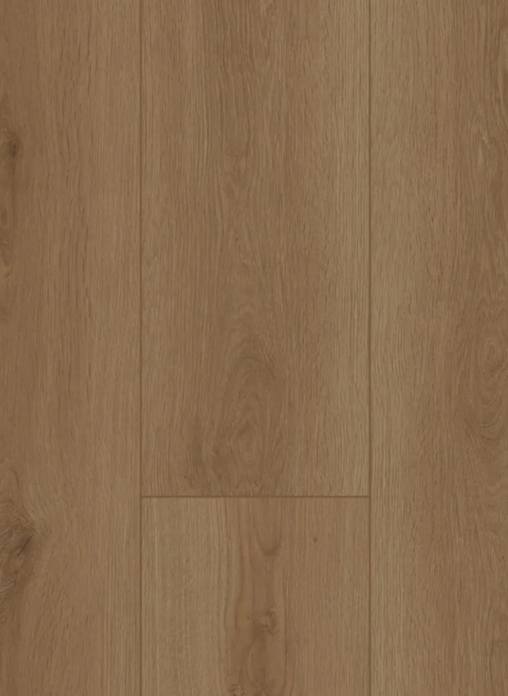 Firmfit 6700 (dryback)