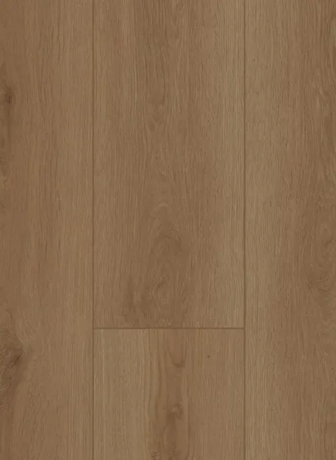 Firmfit 6700 (dryback)