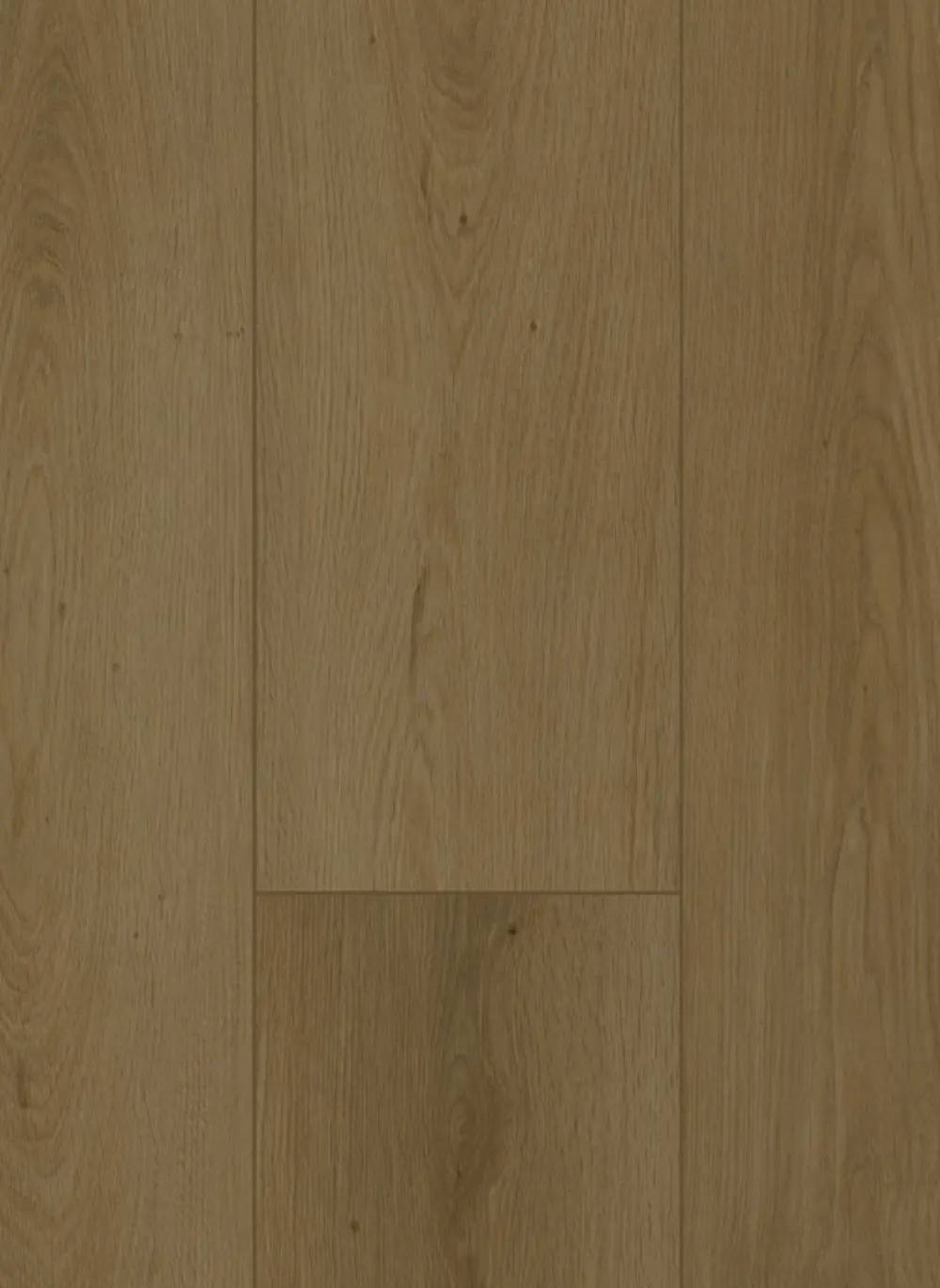 Firmfit 6702 (dryback)