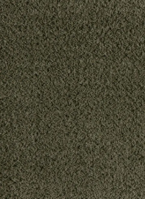 Season 27 maatwerk volumekarpet incl. antislipbacking