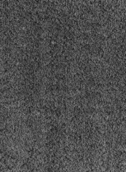 Season 96 maatwerk volumekarpet incl. antislipbacking