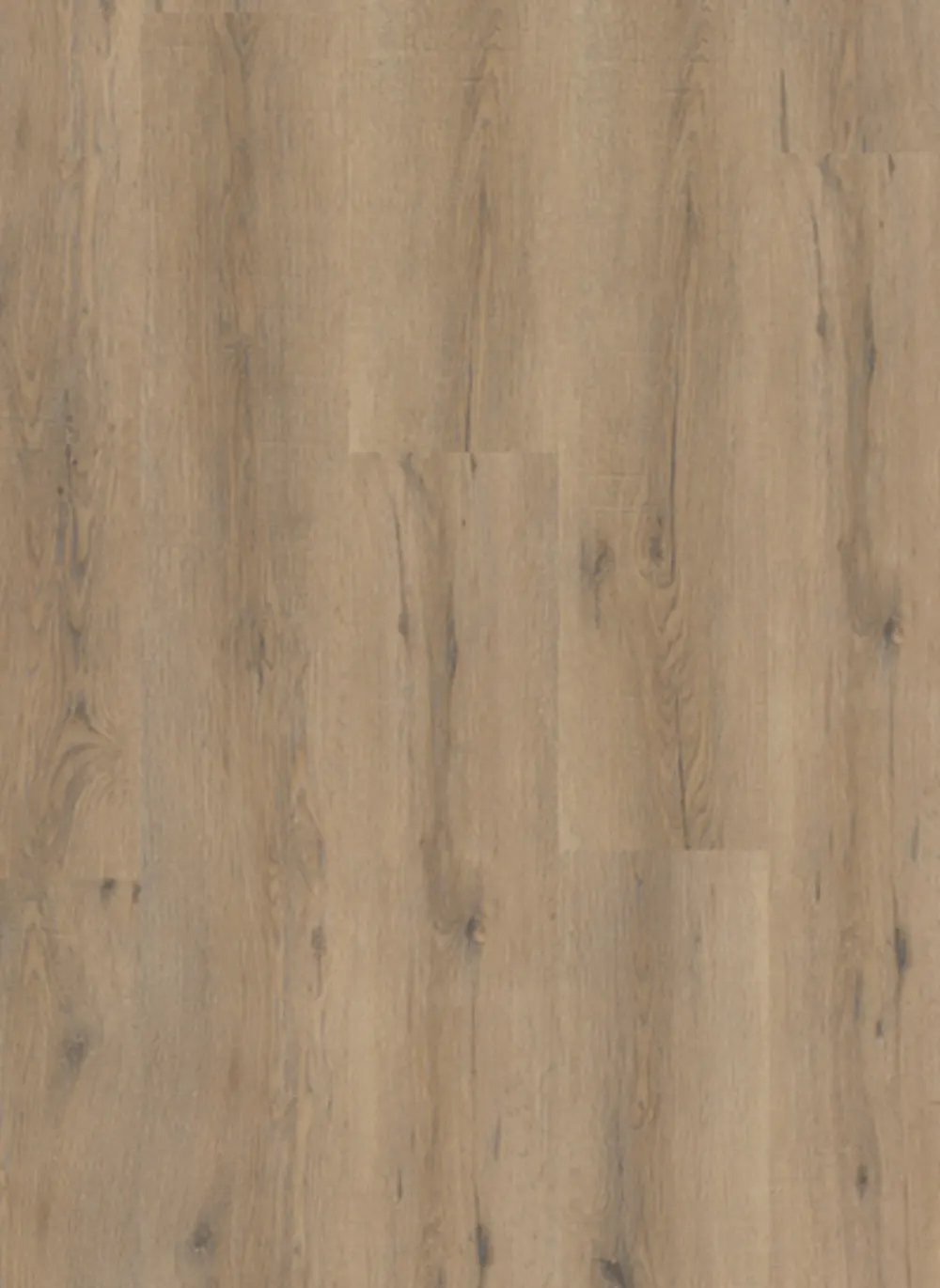 City 4600 (dryback)