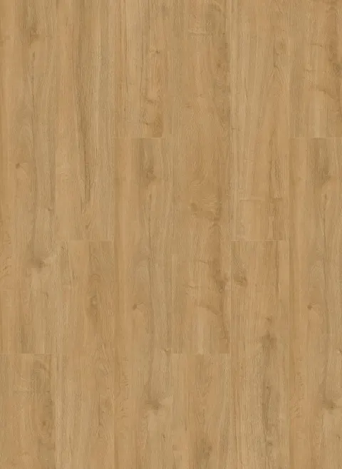 Oakland 6101 (dryback)