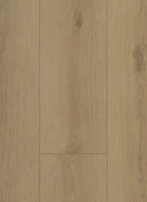 Firmfit 6501 (dryback)