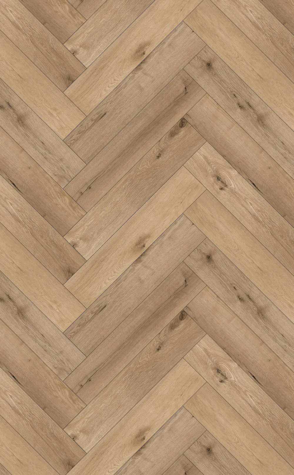 Grande Kaschmir Oak Visgraat Click