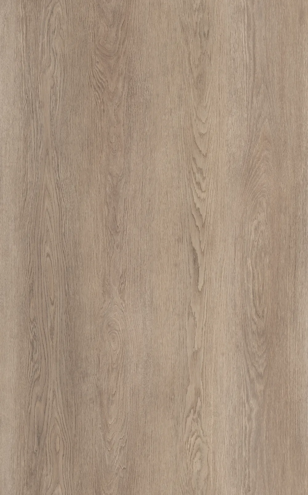 Wood Dominicano Oak Plank Click