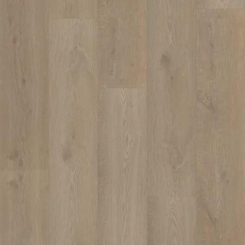 Bodiax Longa 312 Burnaby Oak