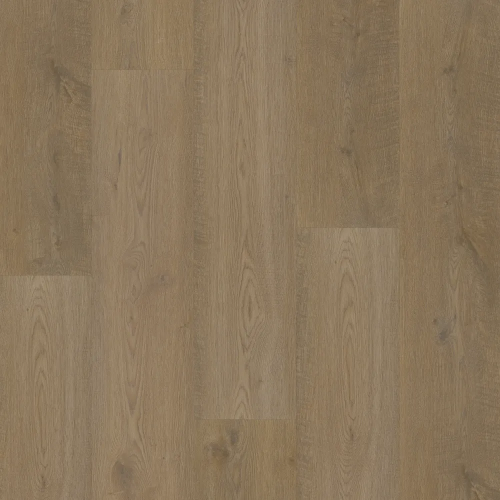 Bodiax Longa 315 Belleville Oak