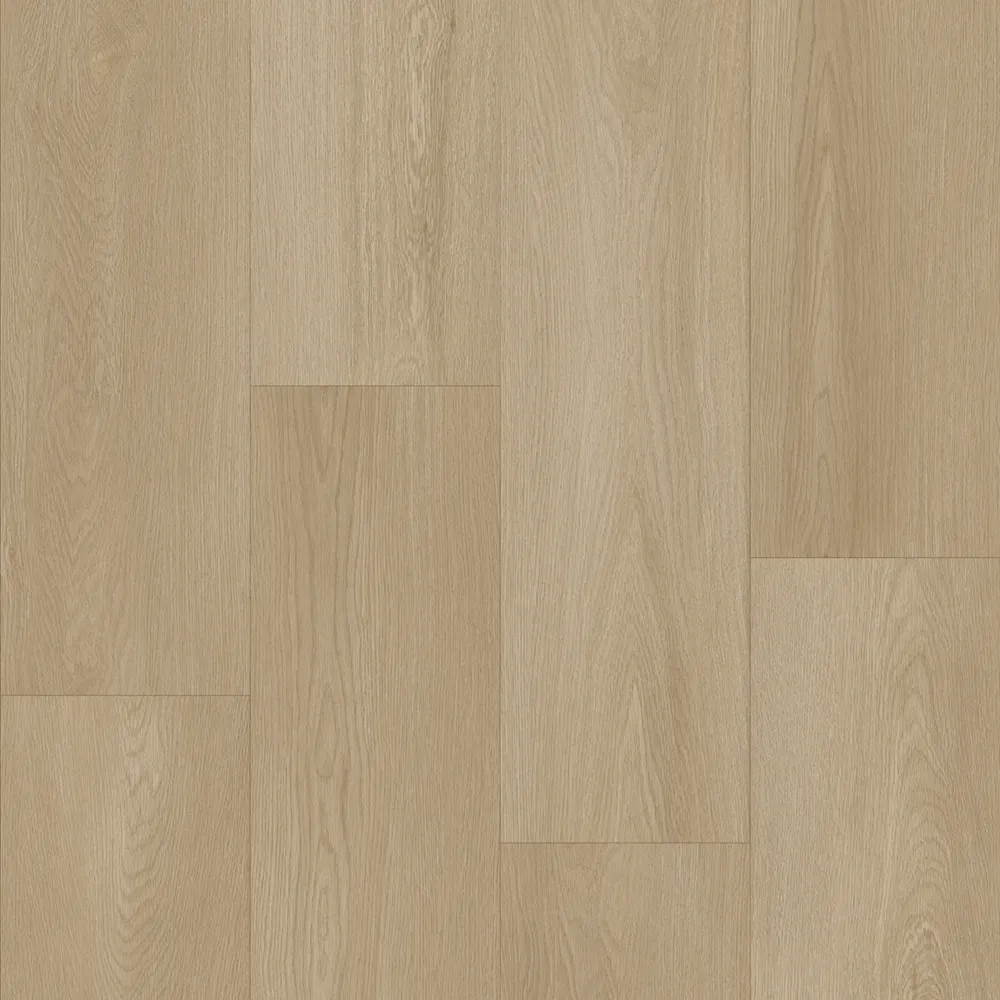 Bodiax Longa 335 Dune