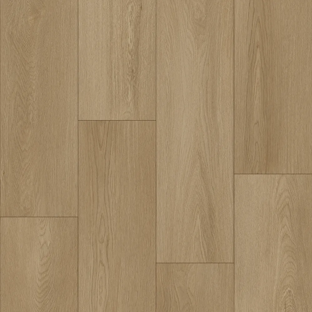 Bodiax Longa 336 Soil