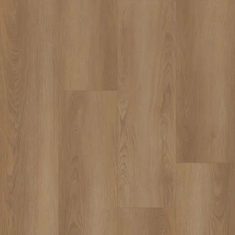 Bodiax Estrela 122 Shade