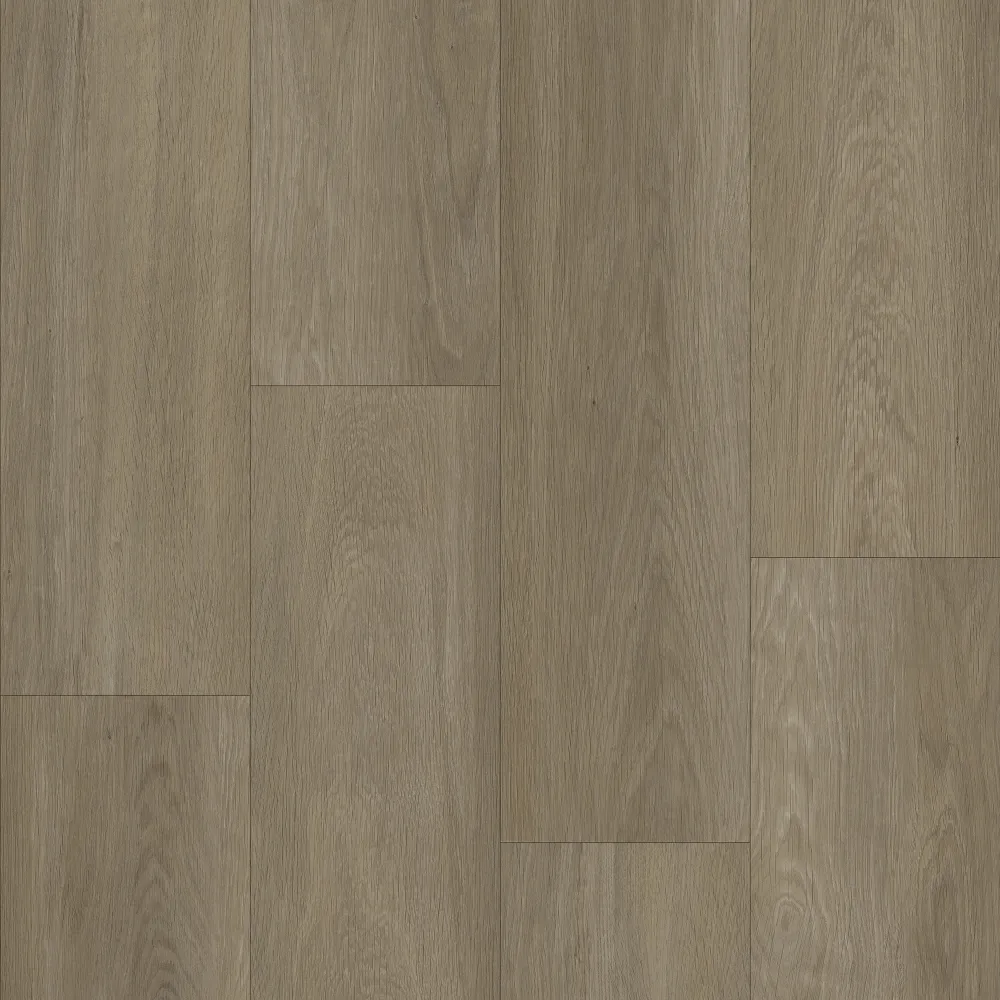 Bodiax Estrela 123 Ash