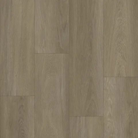 Bodiax Estrela 123 Ash
