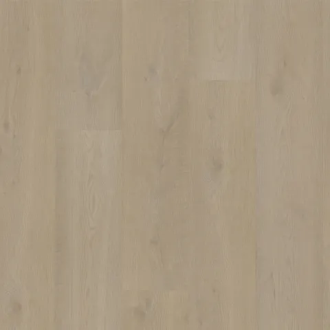 Bodiax Thor 511 Sherbrooke Oak