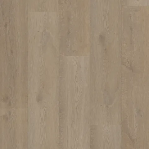 Bodiax Thor 512 Burnaby Oak