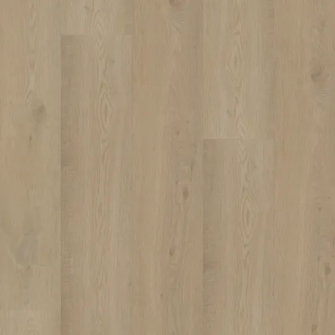Bodiax Thor 513 Pickering Oak