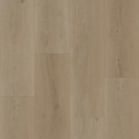 Bodiax Thor 530 Legian