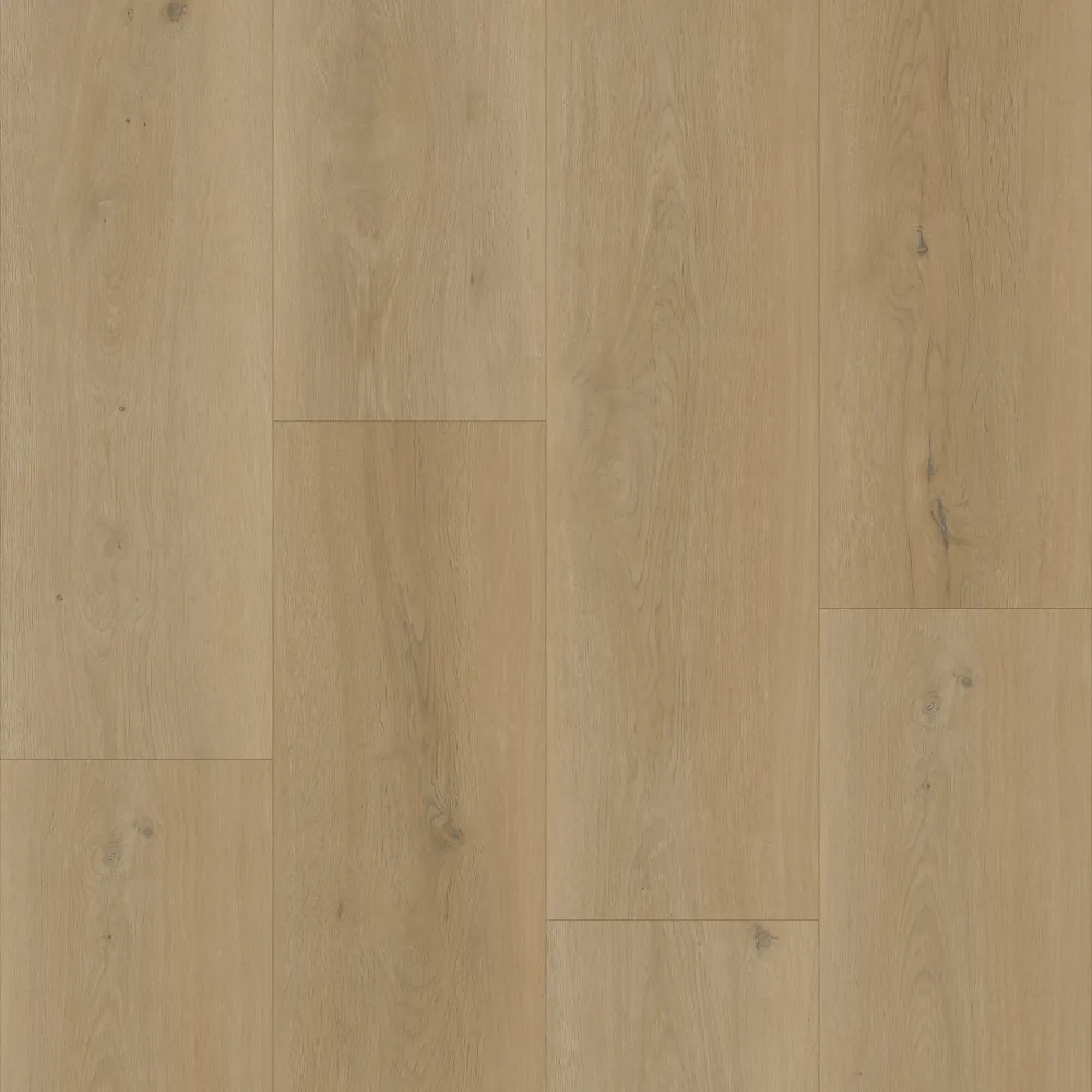 Bodiax Thor 531 Silt