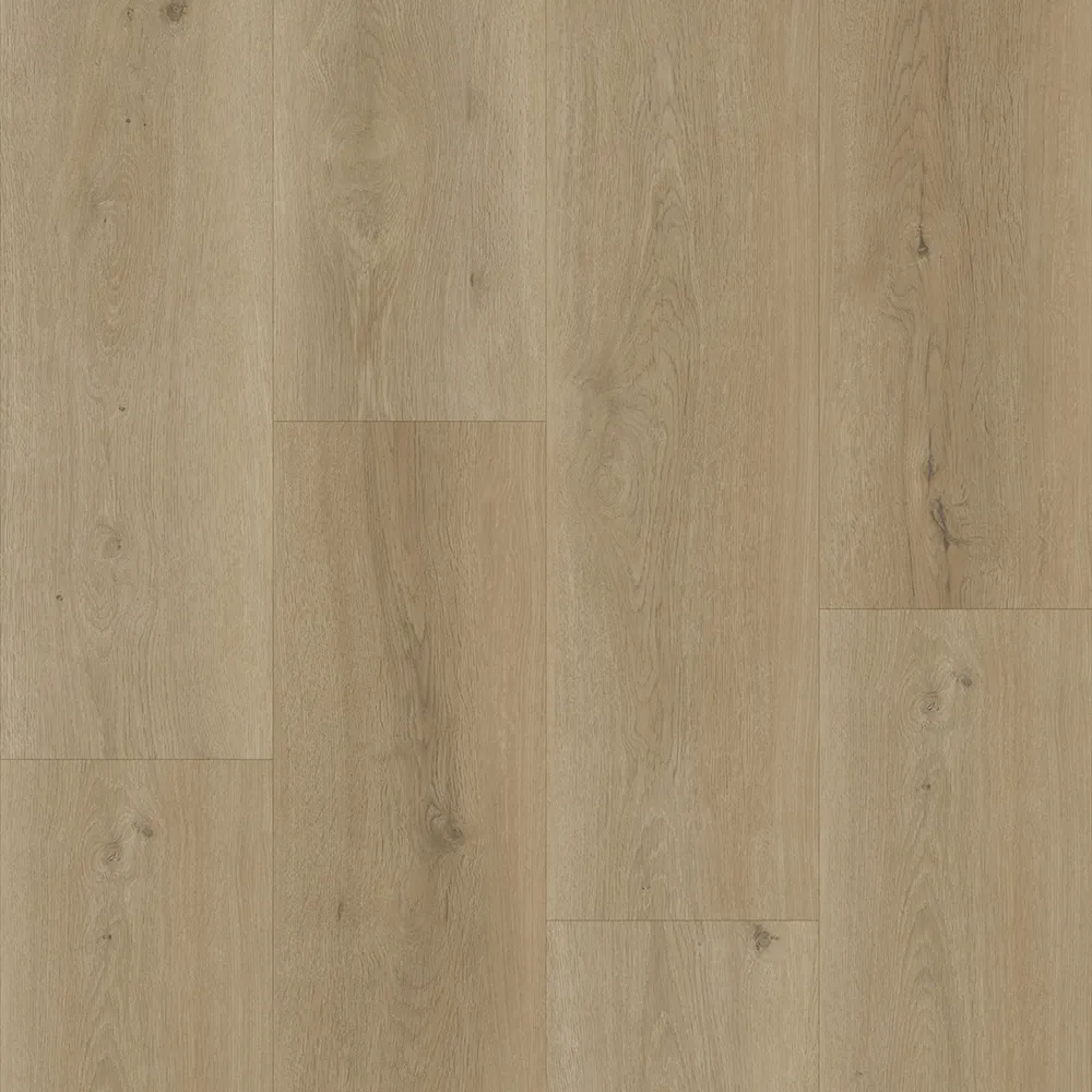 Bodiax Thor 532 Sage