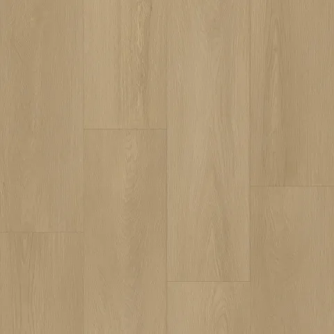 Bodiax Thor 534 Marlin