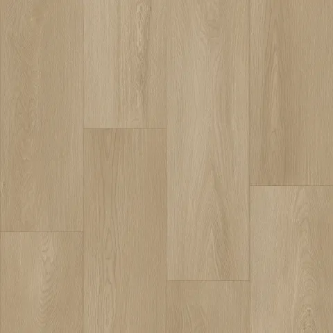 Bodiax Thor 535 Dune