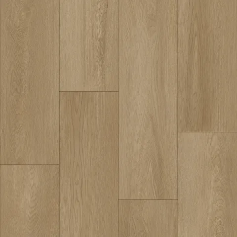 Bodiax Thor 536 Soil