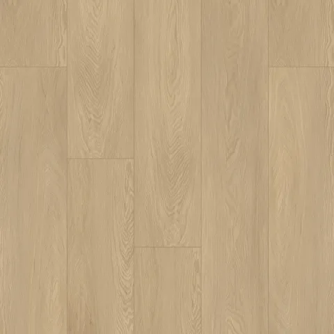 Bodiax Bellevue 542 Platinum Wood
