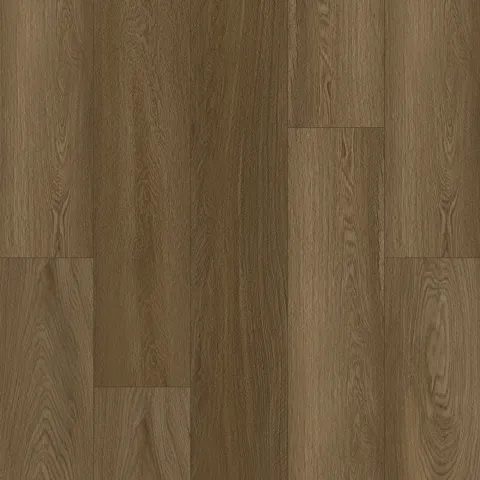 Bodiax Bellevue 545 Shadow Oak