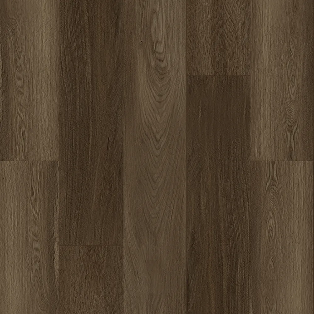 Bodiax Bellevue 546 Velvet Espresso