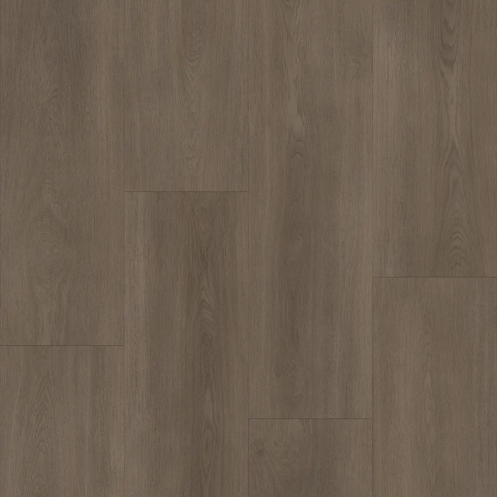 Bodiax Royal 592 Majestic