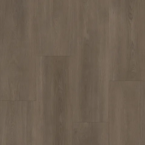 Bodiax Royal 592 Majestic