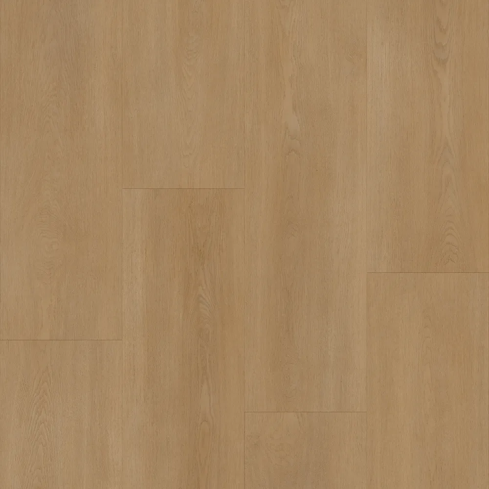 Bodiax Royal 594 Vendome