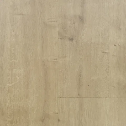 Spice beige grey