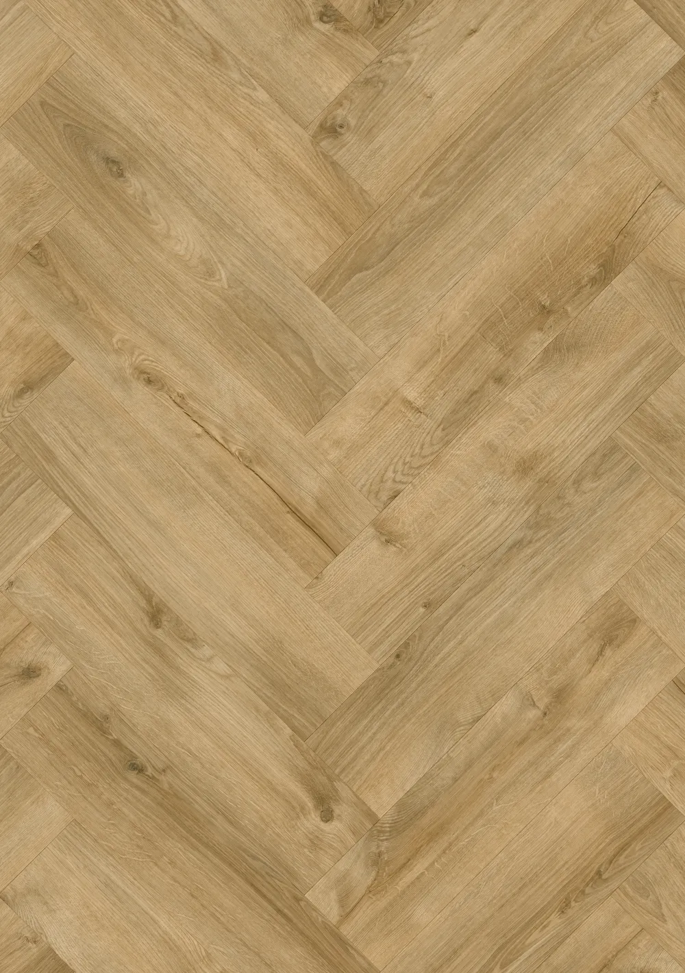 Roots 0,55 Hb Galway Oak 87275Y