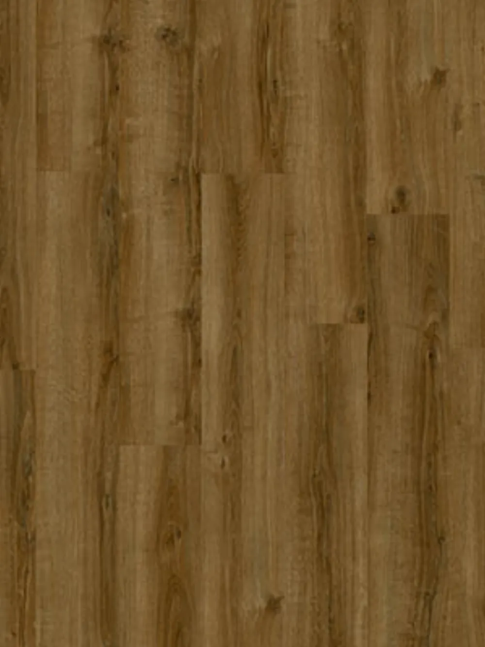PVC Plak Drenthe Tynaarlo