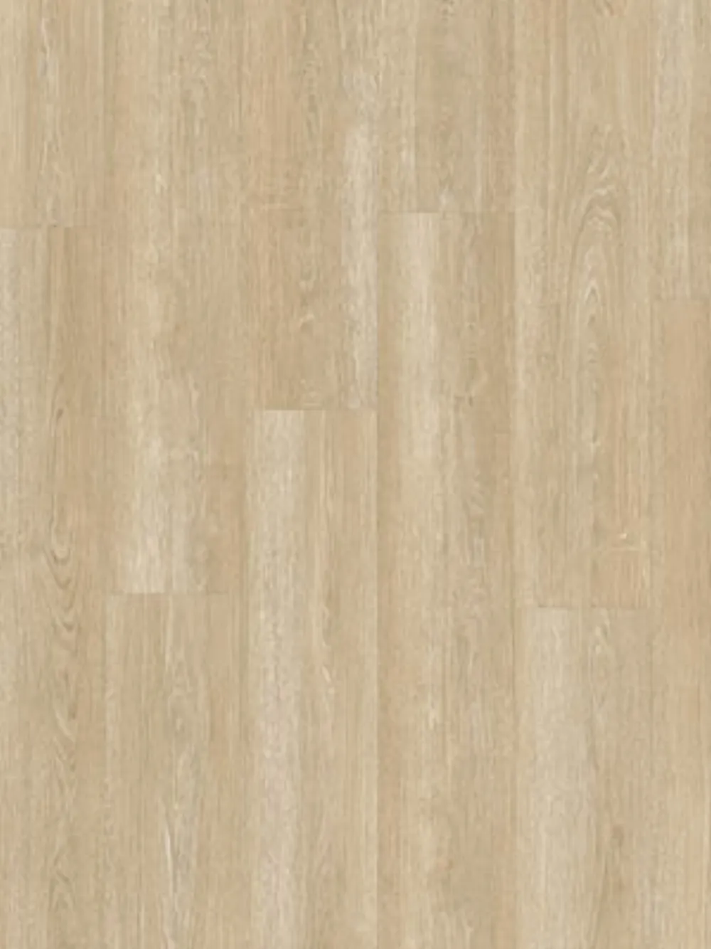 PVC Plak Drenthe Borger