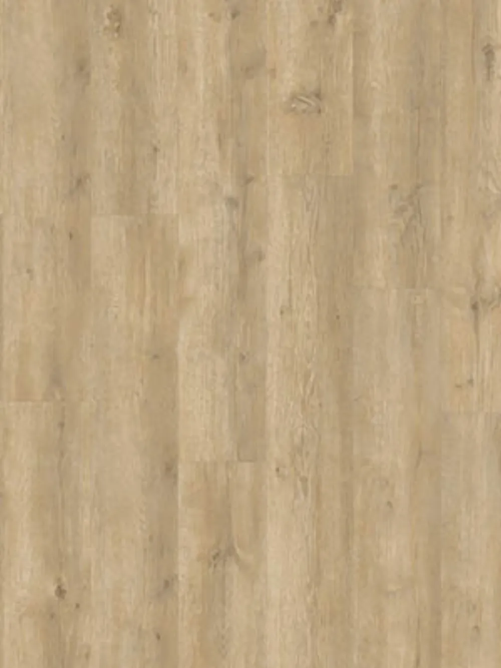 PVC Plak Zeeland Breskens