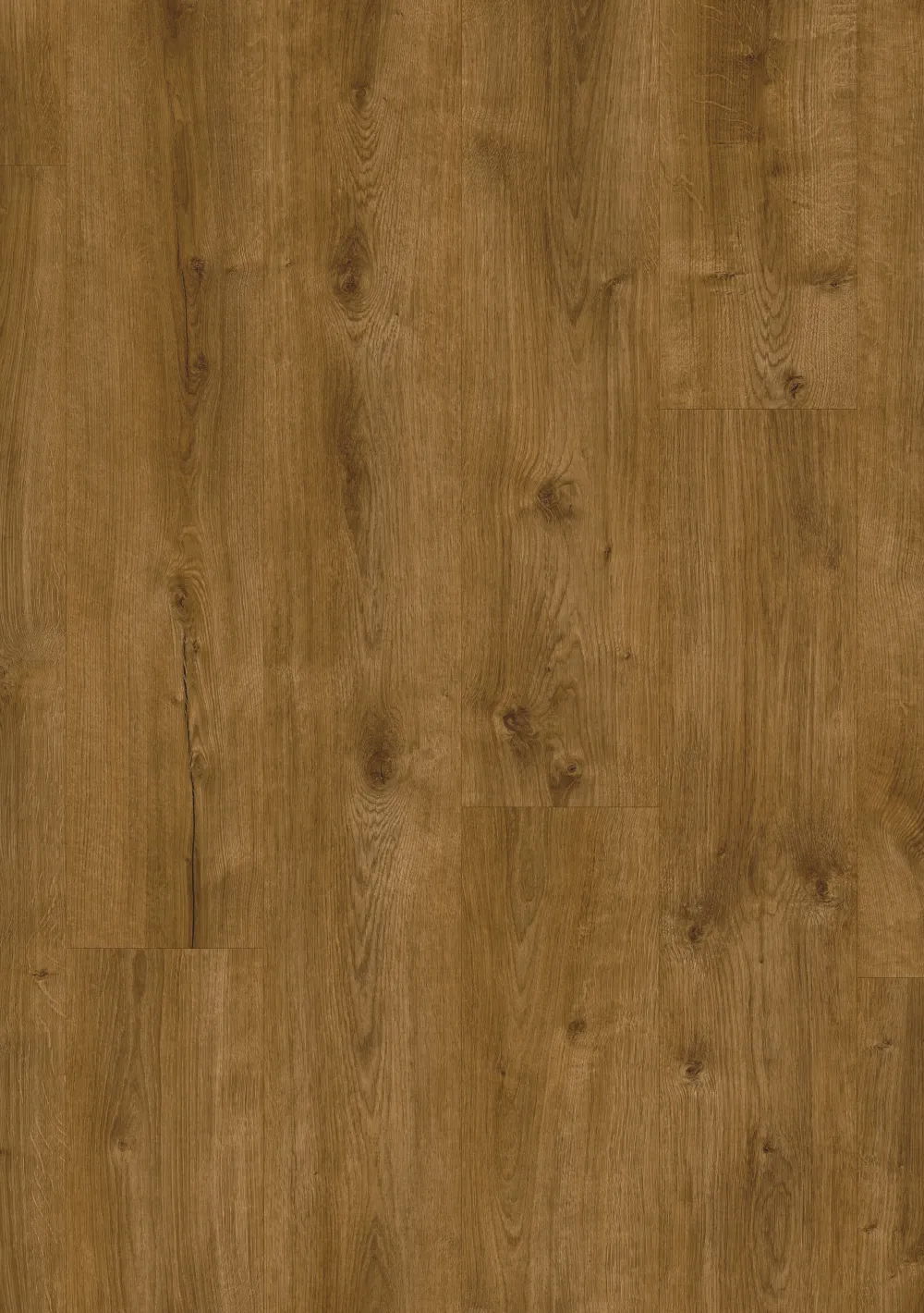 Roots 0,55 Galway Oak 87870BE