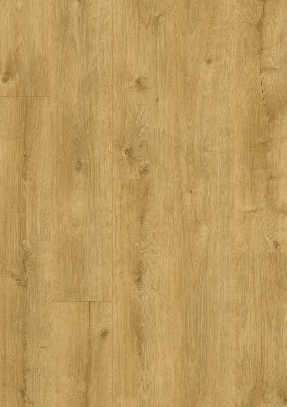Roots 0,55 Galway Oak 87250BE